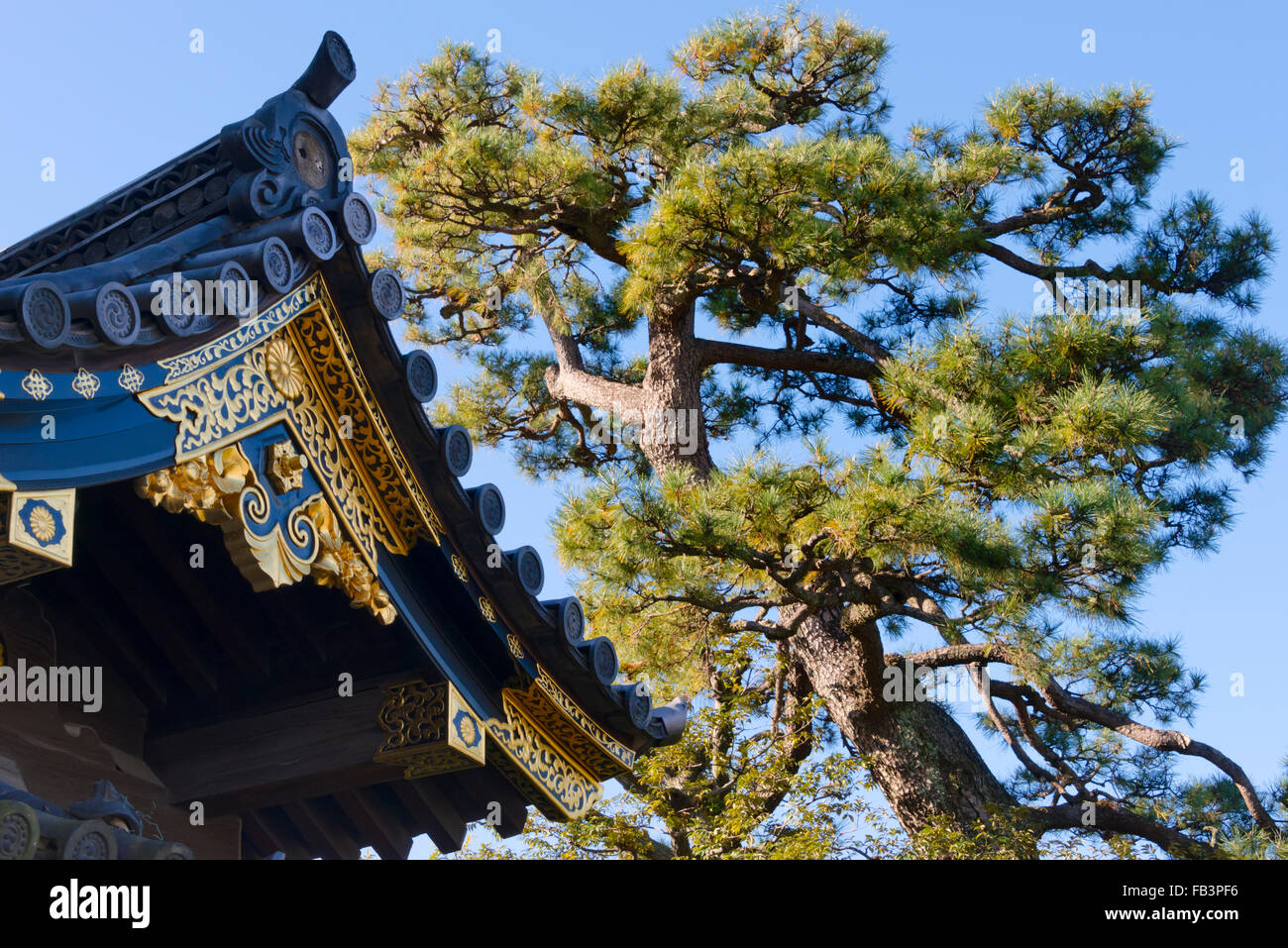 Nijo Burg, Kyoto, Japan Stockfoto