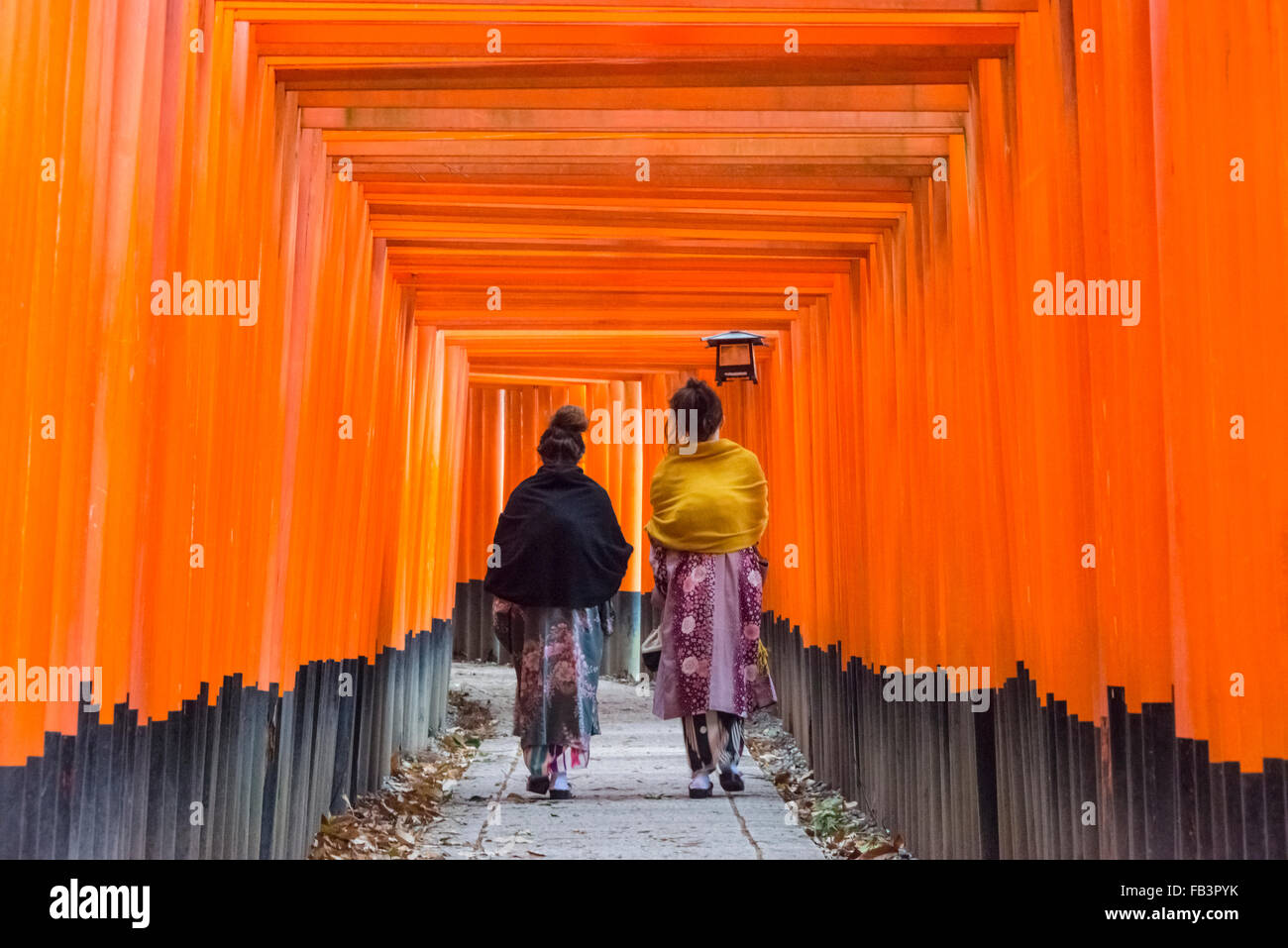 Frauen in traditionellen Kimonos zu Fuß entlang der Senbon Torii (Tausende von Torii-Tore) im Fushimi Inari Schrein, Kyoto, Japan Stockfoto