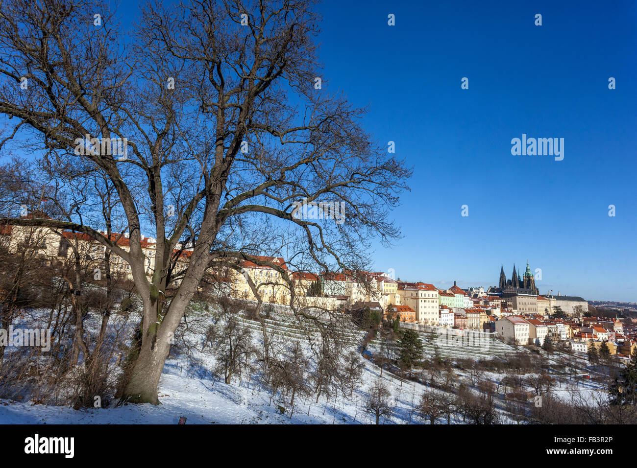 Verschneite Hügel des Petrin Hill Prag Winter Hradcany Schnee Panorama Stockfoto
