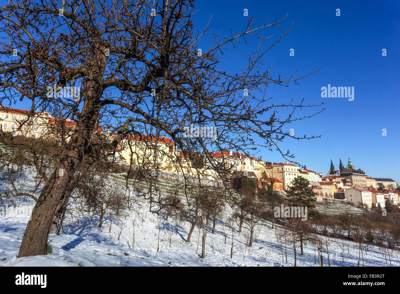 Winter in Prag, Tschechische Republik Stockfoto
