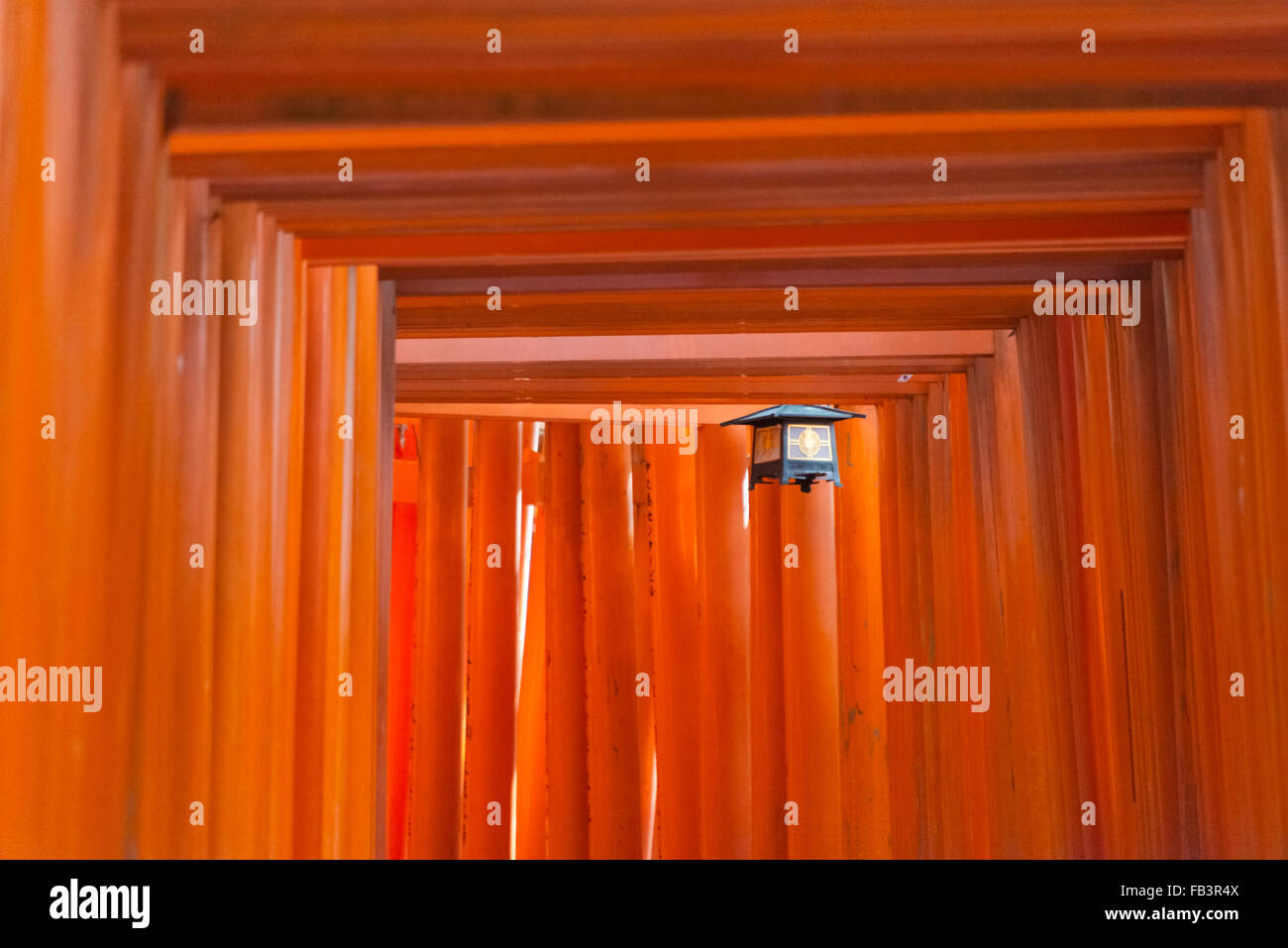 Senbon Torii (Tausende von Torii-Tore) im Fushimi Inari Schrein, Kyoto, Japan Stockfoto