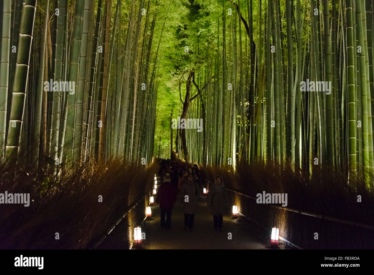 Nachtansicht des beleuchteten Bambuswald hinter Tenryuji Tempel in Arashiyama während Hanatoro, Kyoto, Japan Stockfoto