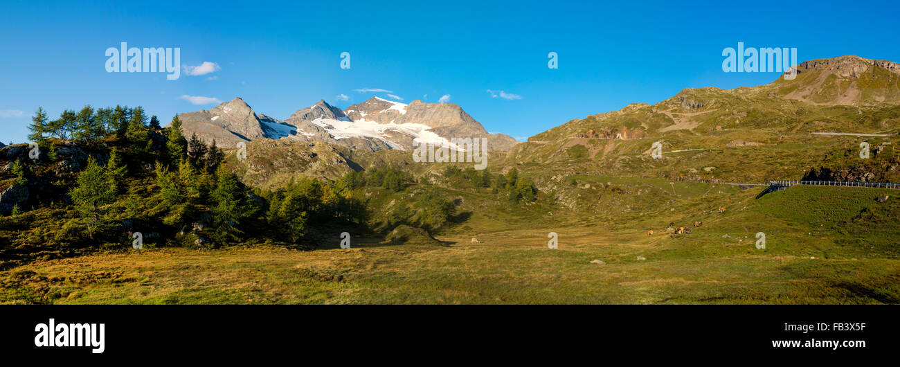 Berninapass, Graubündens, der Schweiz, Graubünden Stockfoto
