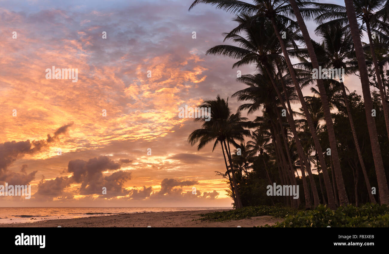 Morgendämmerung am Four Mile Beach, Port Douglas Stockfoto