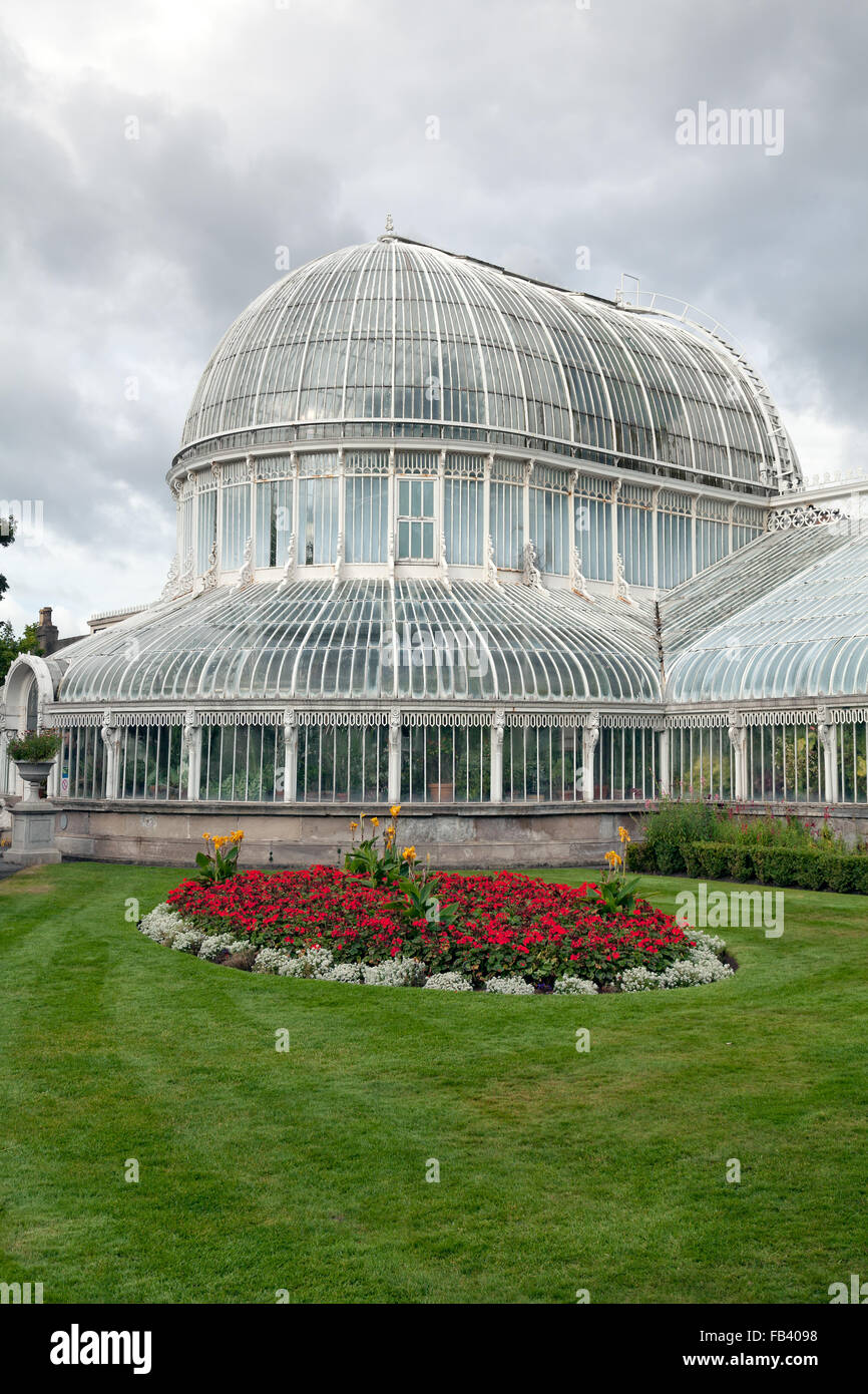 Das Palmenhaus, die botanischen Gärten von Belfast, Nordirland Stockfoto