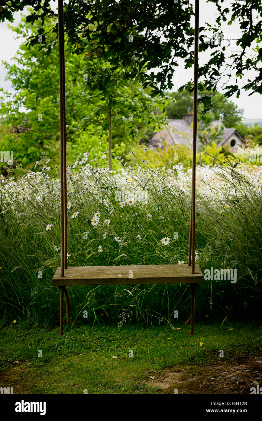 leere Schaukel Sitz hängen hängenden Baum Gartenpark Parkland Blume Blumen Blüte Sommer Stockfoto