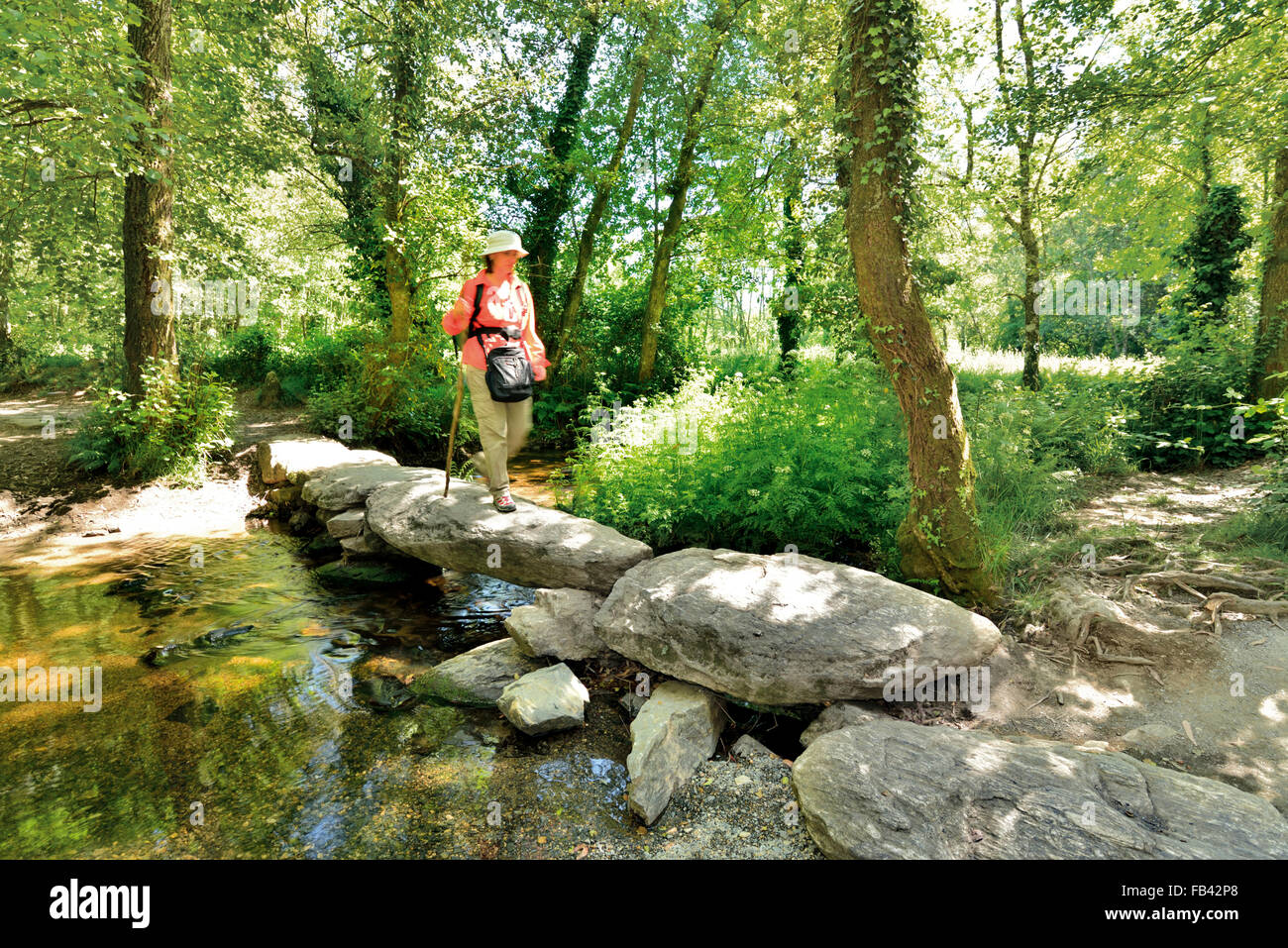 Spanien, Galicien: Pilger, die steinerne Brücke in einem schattigen Wald Stockfoto