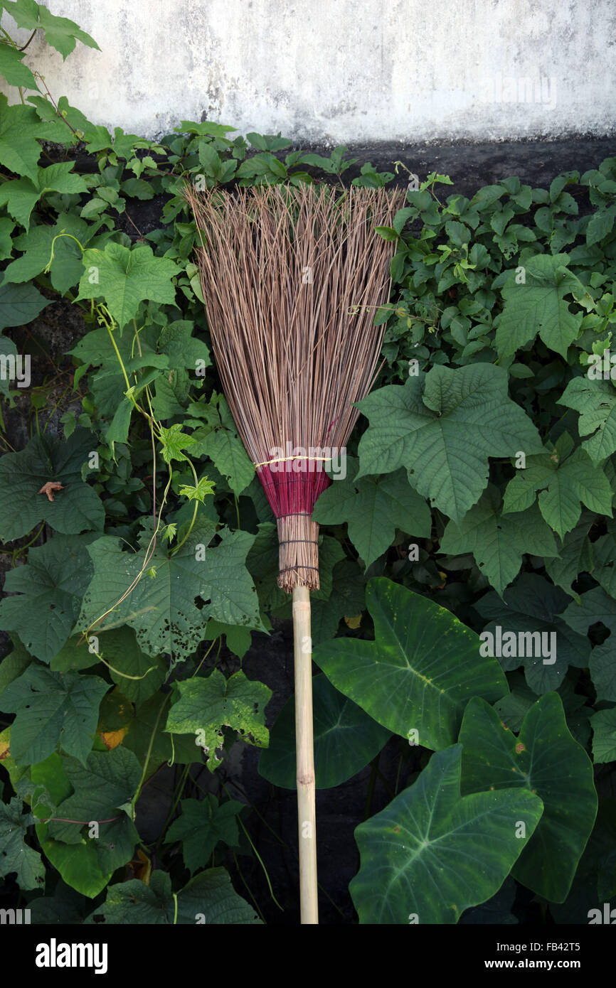 Es ist ein Foto von einem Pinsel Besen machen aus Echtholz Sticks Sache. Es ist gegen eine Wand mit Laub bedeckt Stockfoto