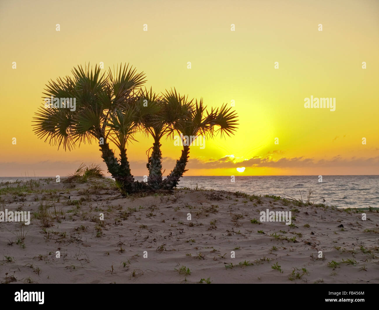 Sonnenaufgang in Inhambane Mosambik Südafrika Stockfoto
