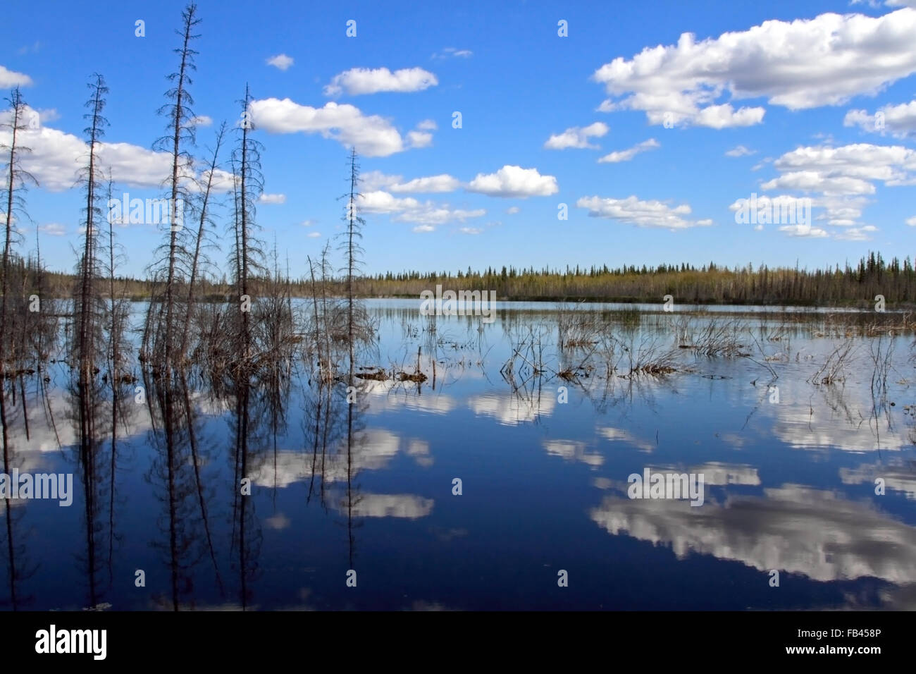 See Reflexionen auf der Autobahn 3, yellowknife Highway, nwt, Kanada Stockfoto