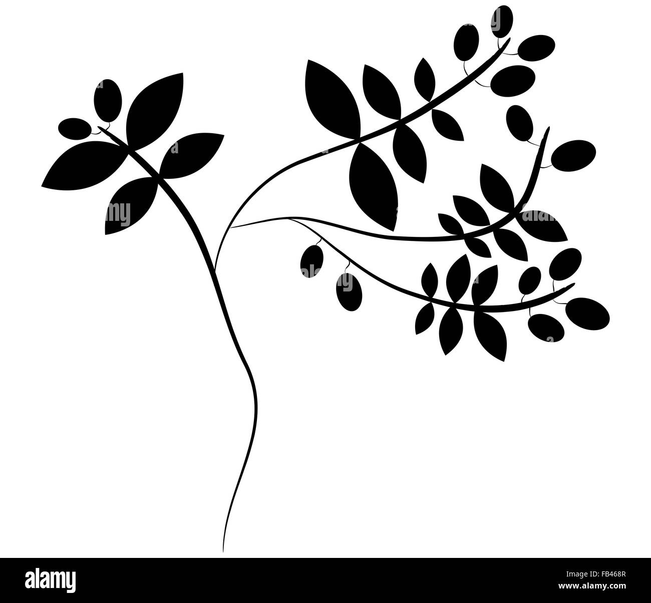 Oliven auf weißem Hintergrund Stockfoto