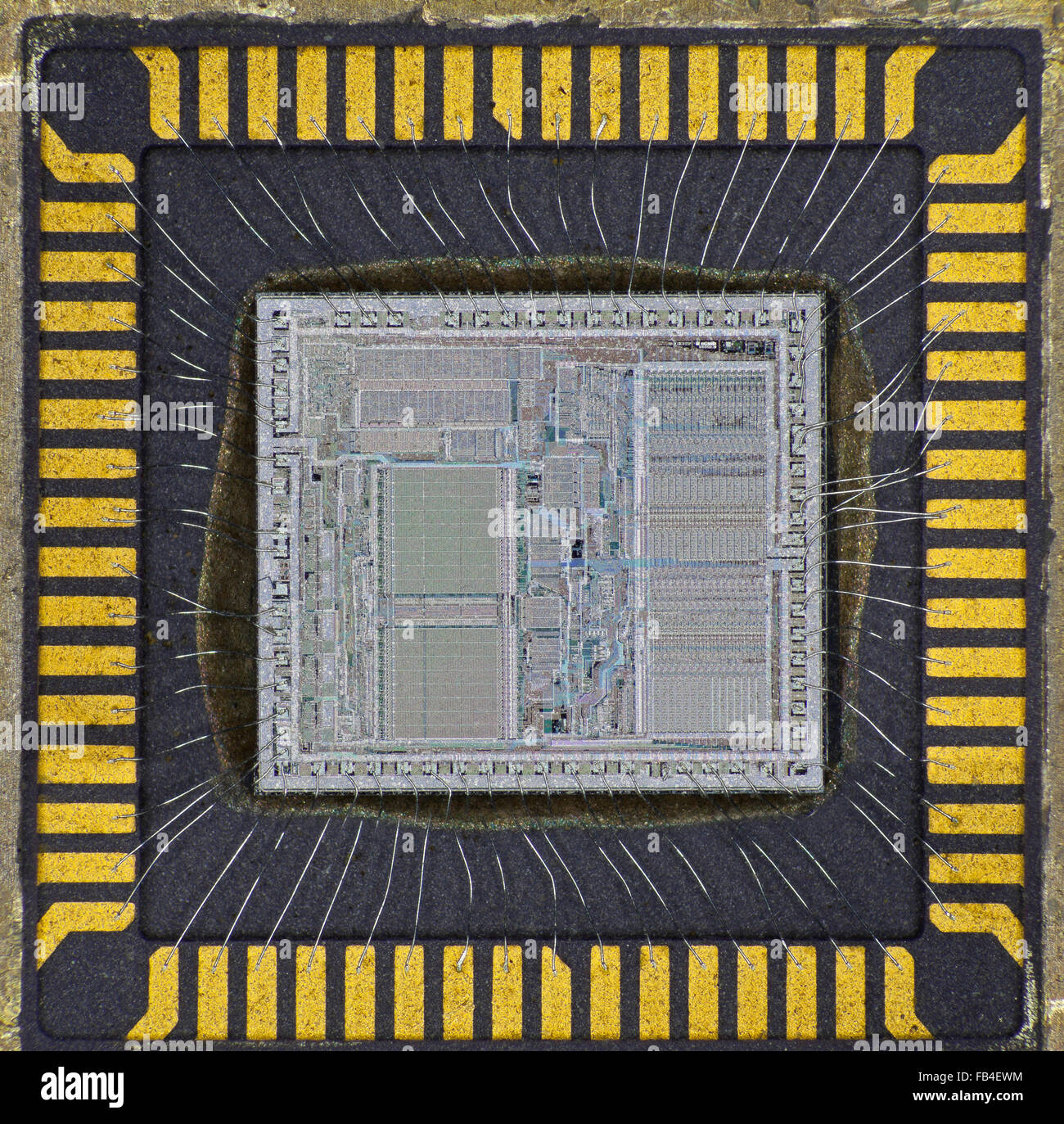 Halbleiter-Chip-Transistor-Detail mit Gold Kontakt pads Stockfoto