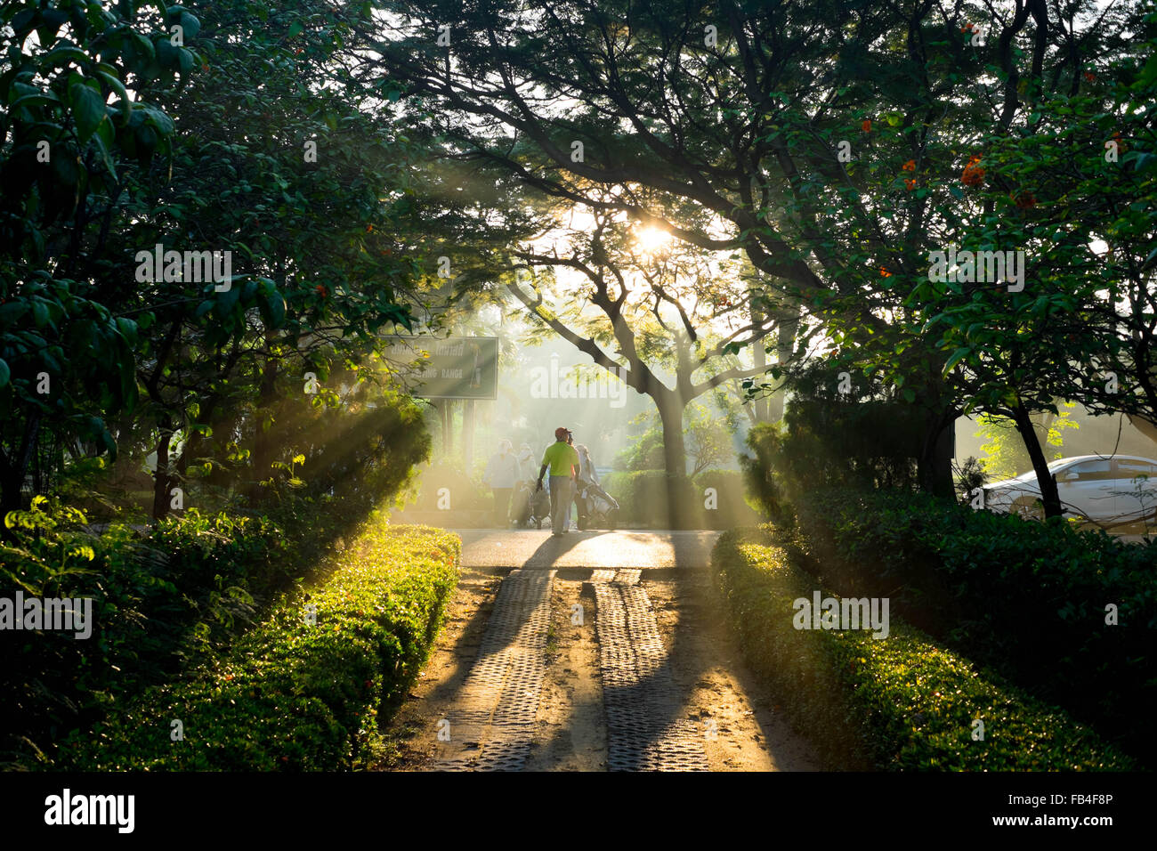 Zu Fuß zum Abschlag Golfer Boden am Morgen und die Sonne scheint durch den Baum Stockfoto