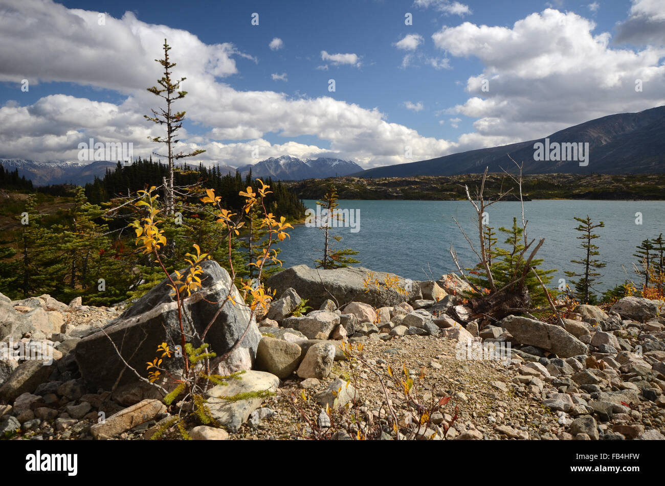 Yukon-Berglandschaft Stockfoto