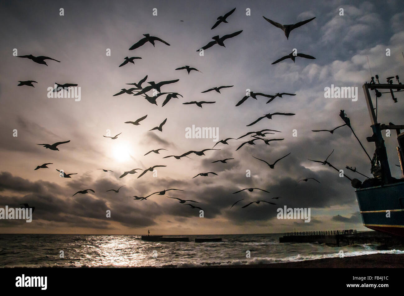 Hastings, East Sussex, UK.9. Januar 2016.Wind & Wolken steigen wieder an der Südküste, aber immer noch unsaisonabhängig warm, als Gulls sich zum kostenlosen Futter vom Fischerboot versammelt. Stockfoto