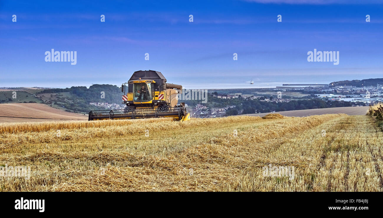 Kombinieren Sie Ernte einer Ackerfläche Stockfoto
