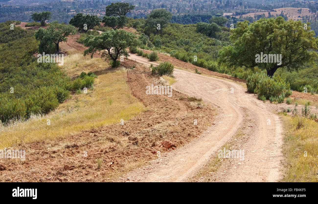 Dehesa Und Weg - Dehesa und Track 01 Stockfoto