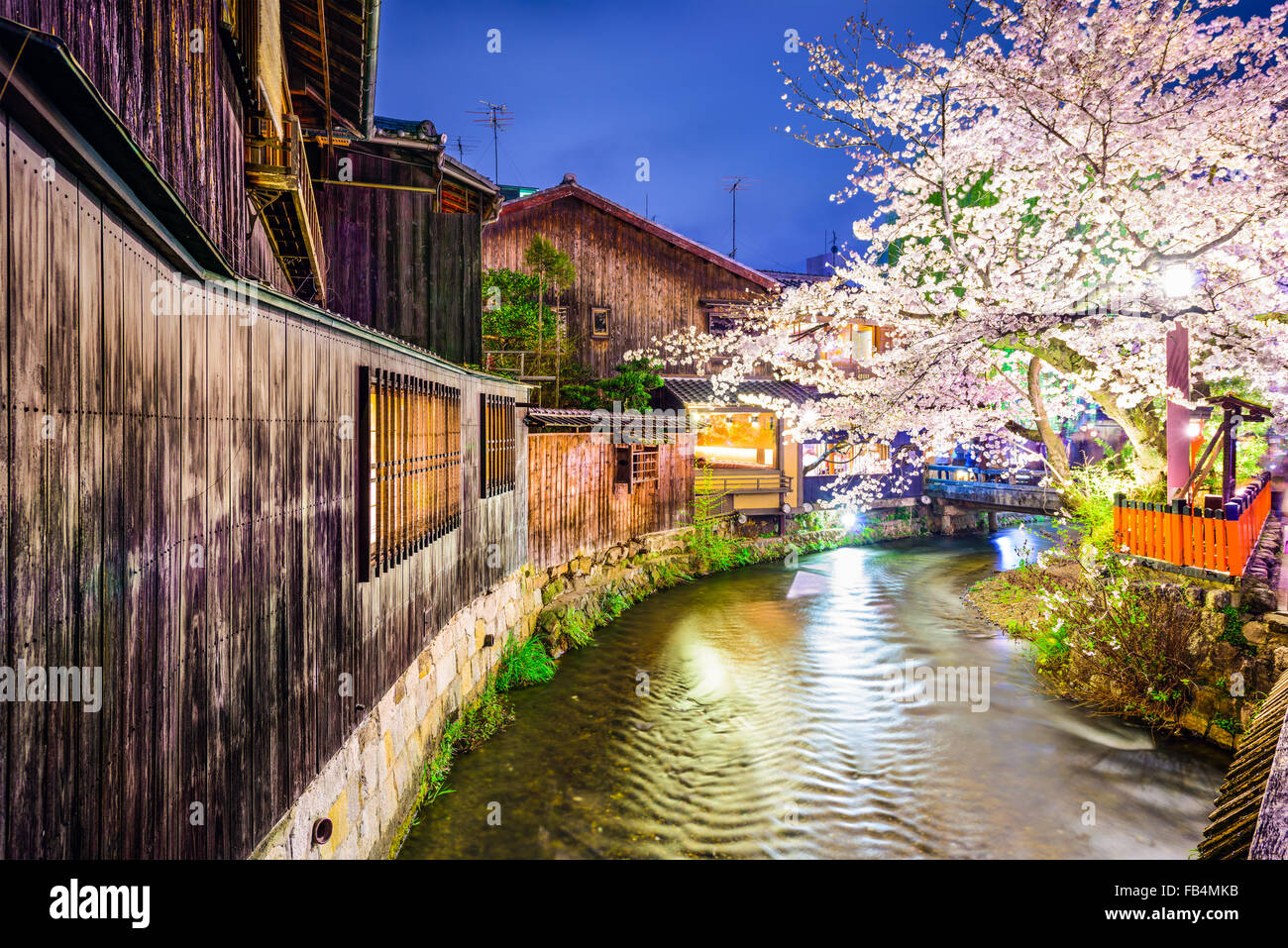 Kyoto, Japan am Fluss Shirakawa im Stadtteil Gion während der Frühjahrssaison Cherry blossom. Stockfoto