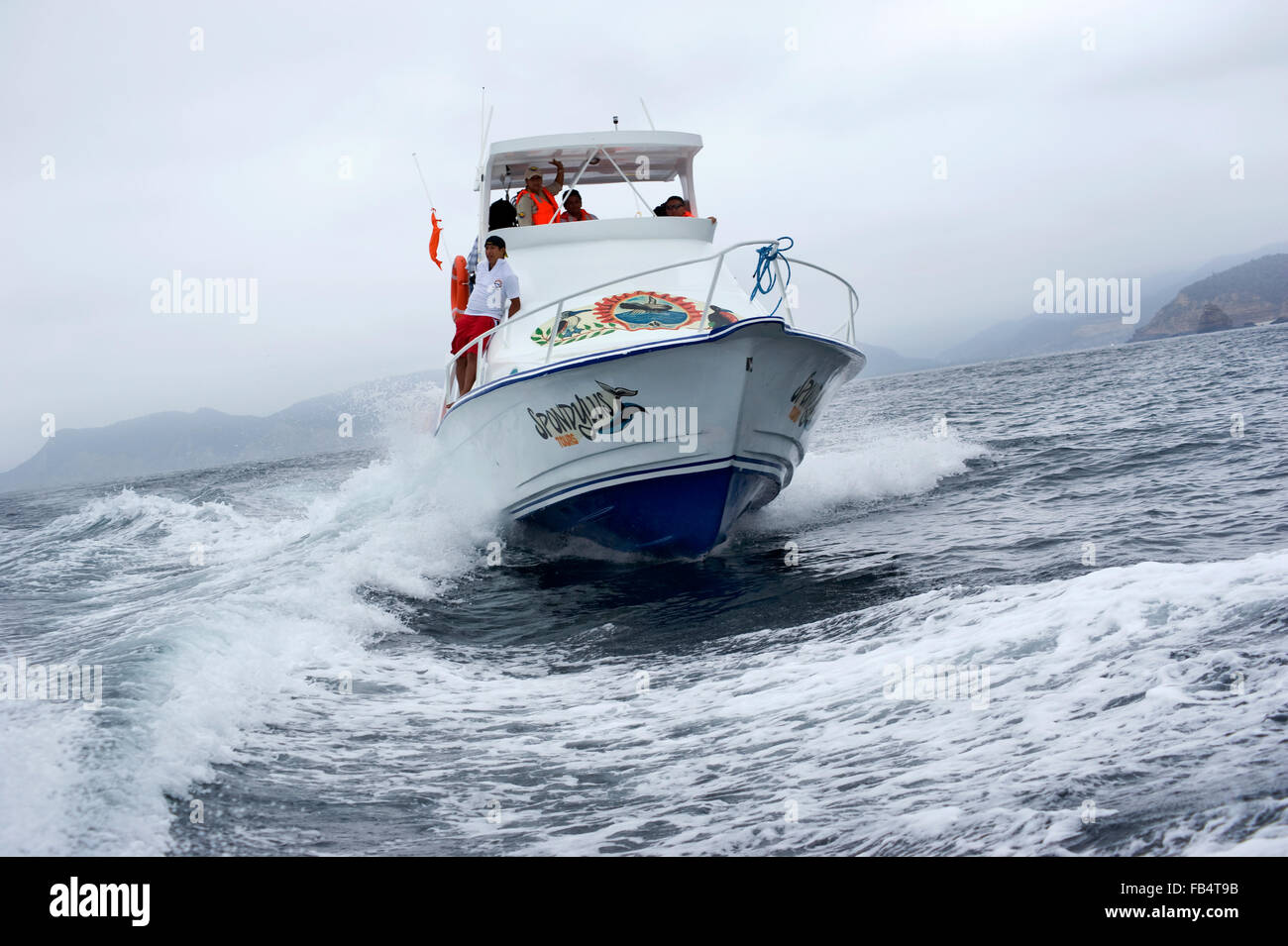 Walbeobachtungsexpedition in Ecuador, Südamerika Stockfoto