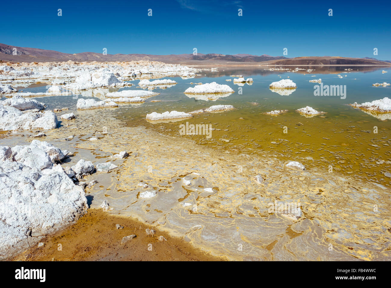 Calcium-Carbonat Felsen säumen die Ufer des Mono Lake, Kalifornien Stockfoto
