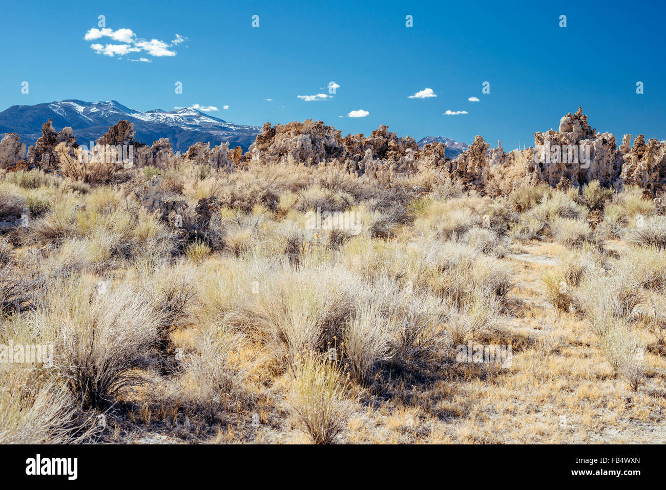 Tuffstein Felsformationen am South Tufa, Mono Lake, Kalifornien Stockfoto