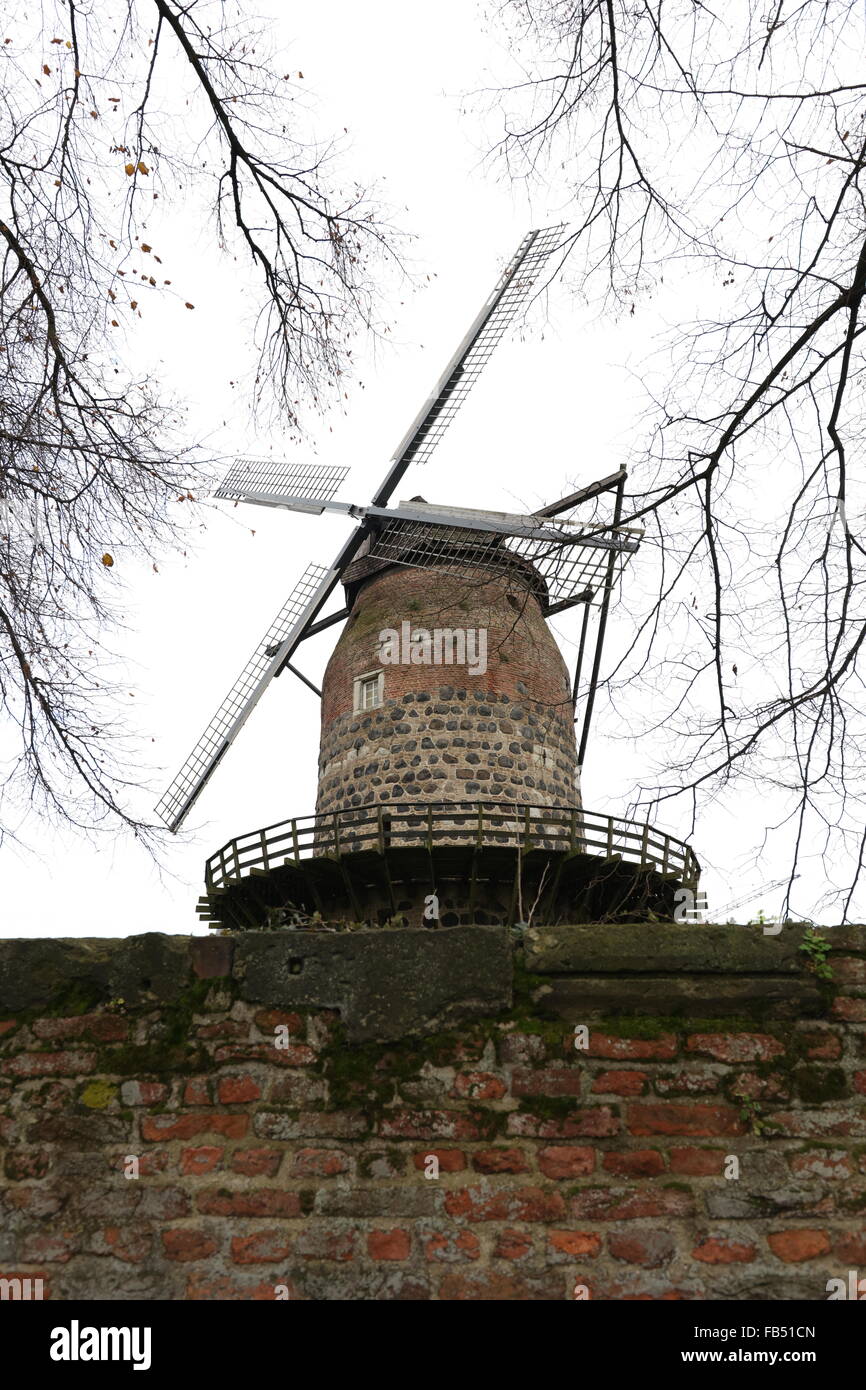 Windmühle, Zons, Nordrhein-Westfalen, Deutschland Stockfoto