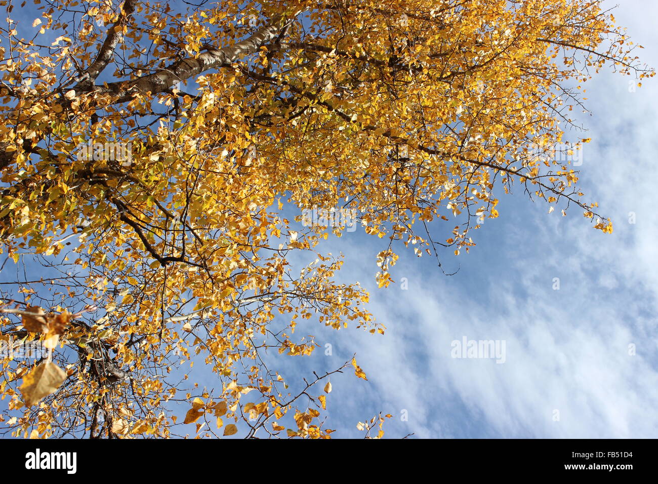 Jahreszeiten und Wetter des Wandels Stockfoto