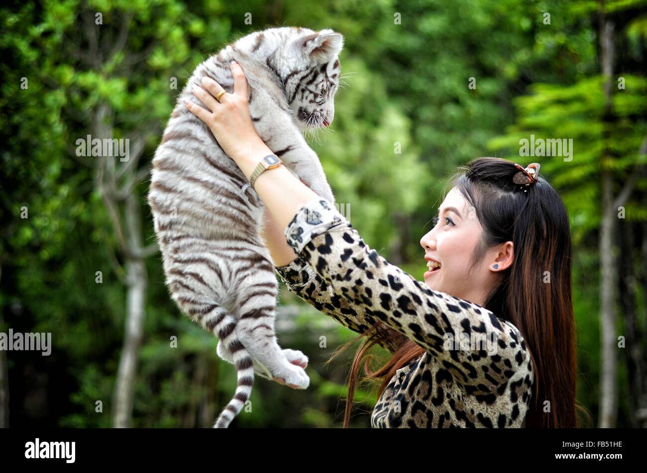 hübsche Frauen halten Baby weißen Bengal tiger Stockfoto