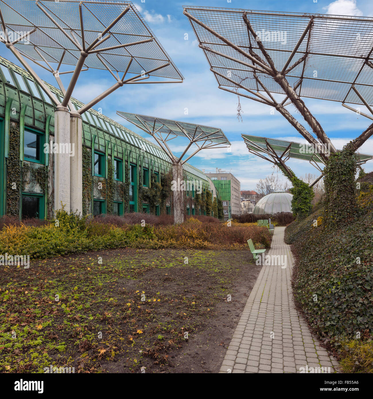 Schöner Garten mit Efeu und Solarbatterien Stockfoto