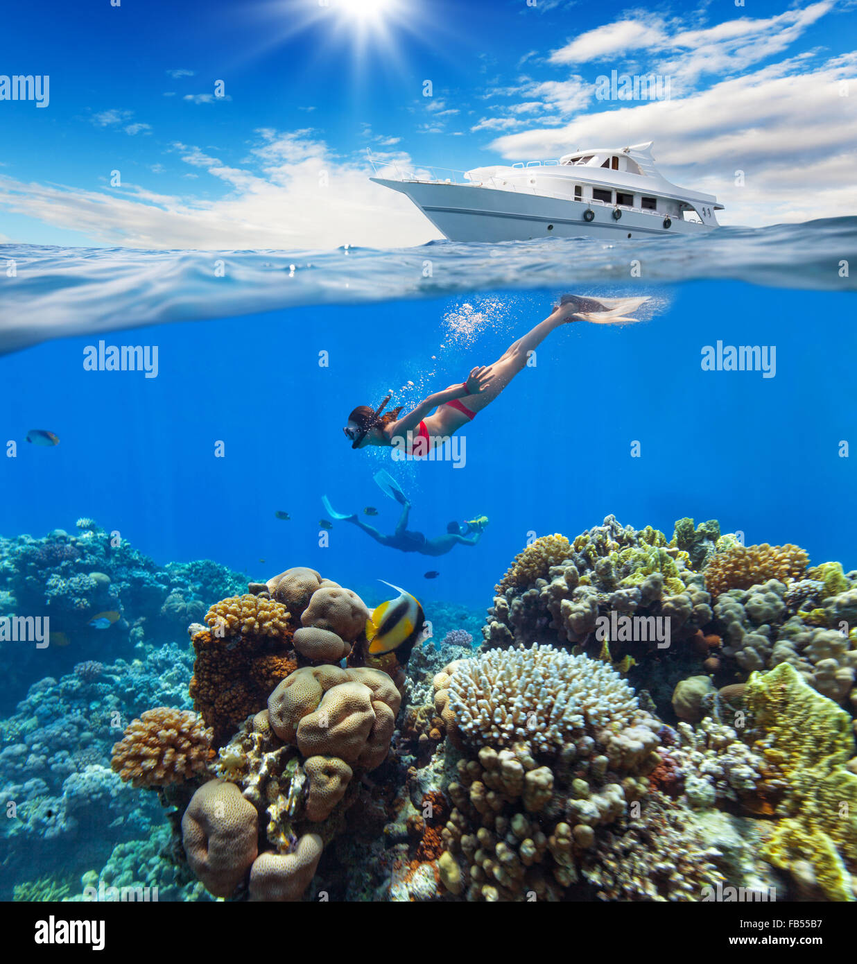 Weibliche Freediver schwimmende am Korallenriff Stockfoto