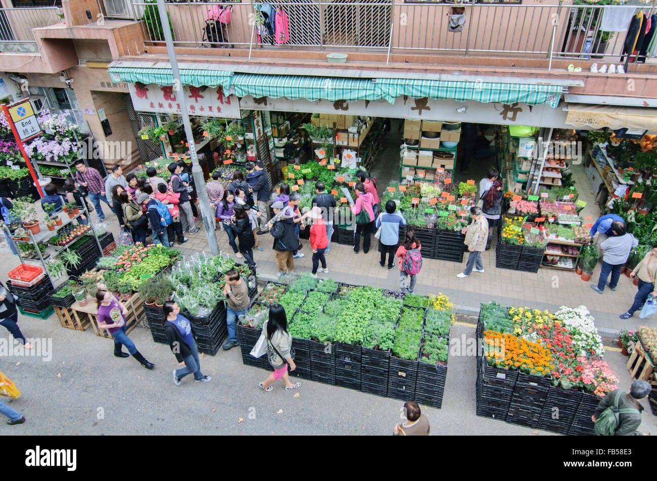 Blumenmarkt in Mongkok, Hong Kong Stockfoto