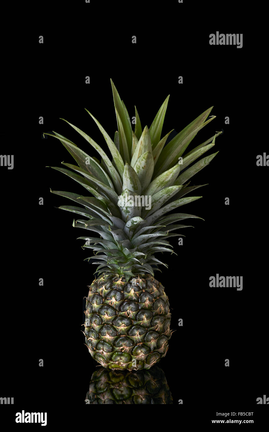 Ananas. Isoliert vor einem schwarzen reflektierenden Hintergrund. Studio Stillleben Bild einer Ananas. Thailand S. E. Asien Stockfoto