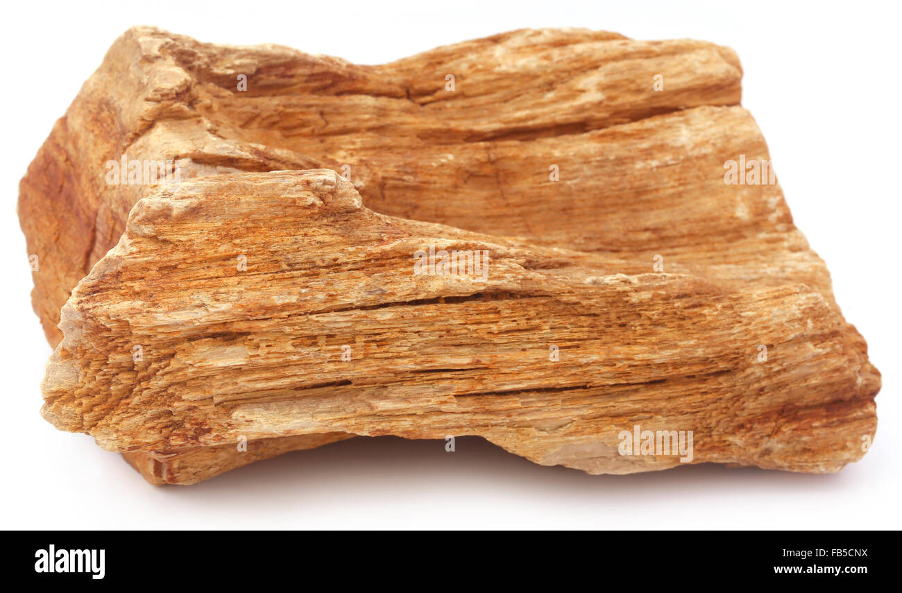 Sedimentgestein auf weißem Hintergrund Stockfoto