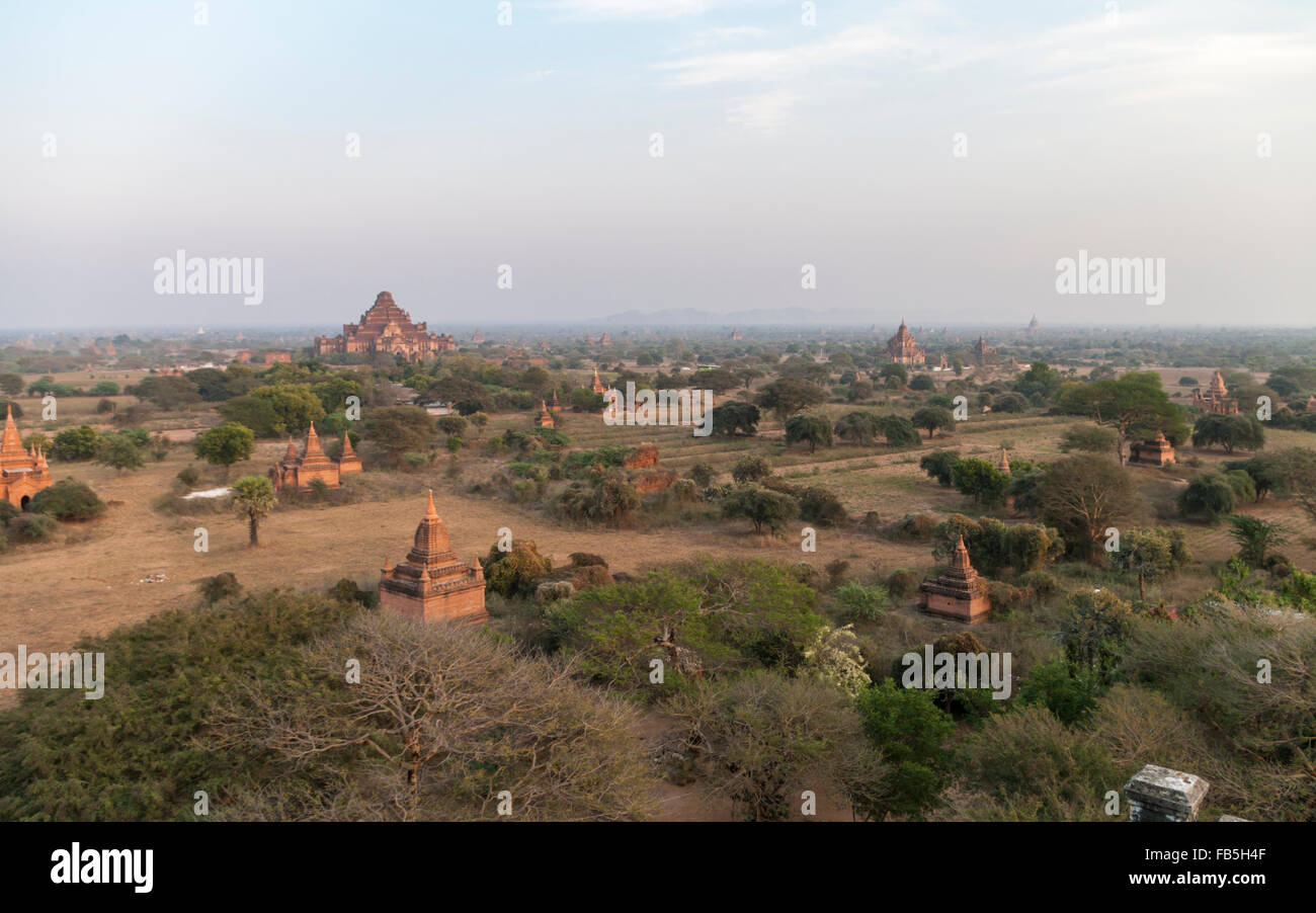 Bagan-Ebenen in frühen Morgenstunden, mit Tausenden von Tempeln. Bagan, Myanmar (Burma). Stockfoto