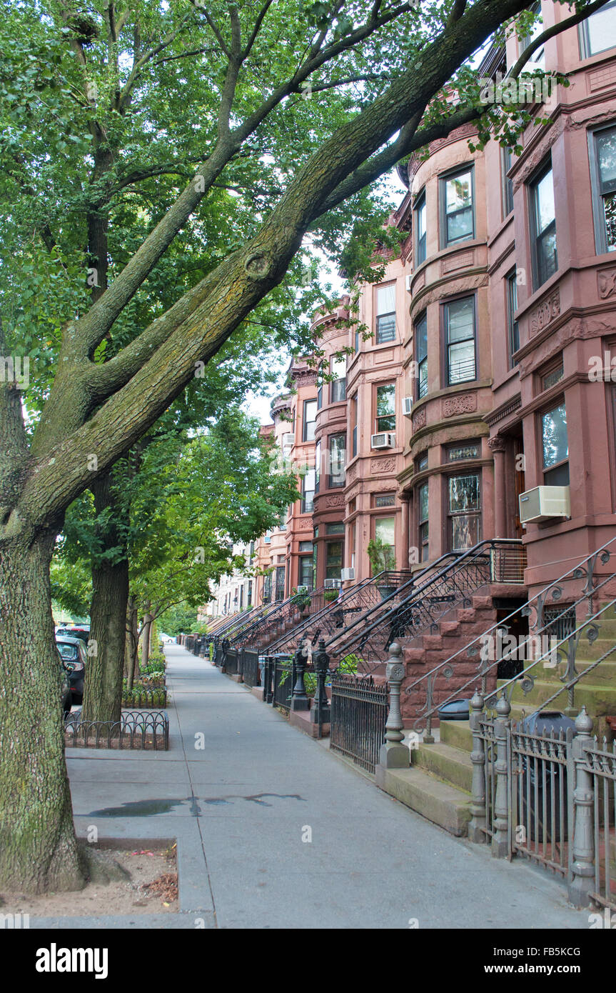 Vereinigte Staaten von Amerika, USA: brownstone rowhouses entlang einer Avenue in Brooklyn, New York, rötlich-brauner Sandstein Stockfoto