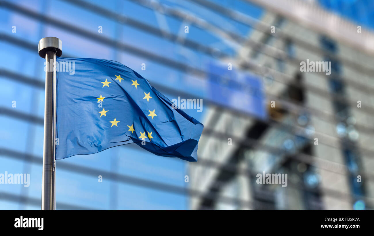 Europäische Union Flaggen vor dem unscharfen Europaparlament in Brüssel, Belgien Stockfoto
