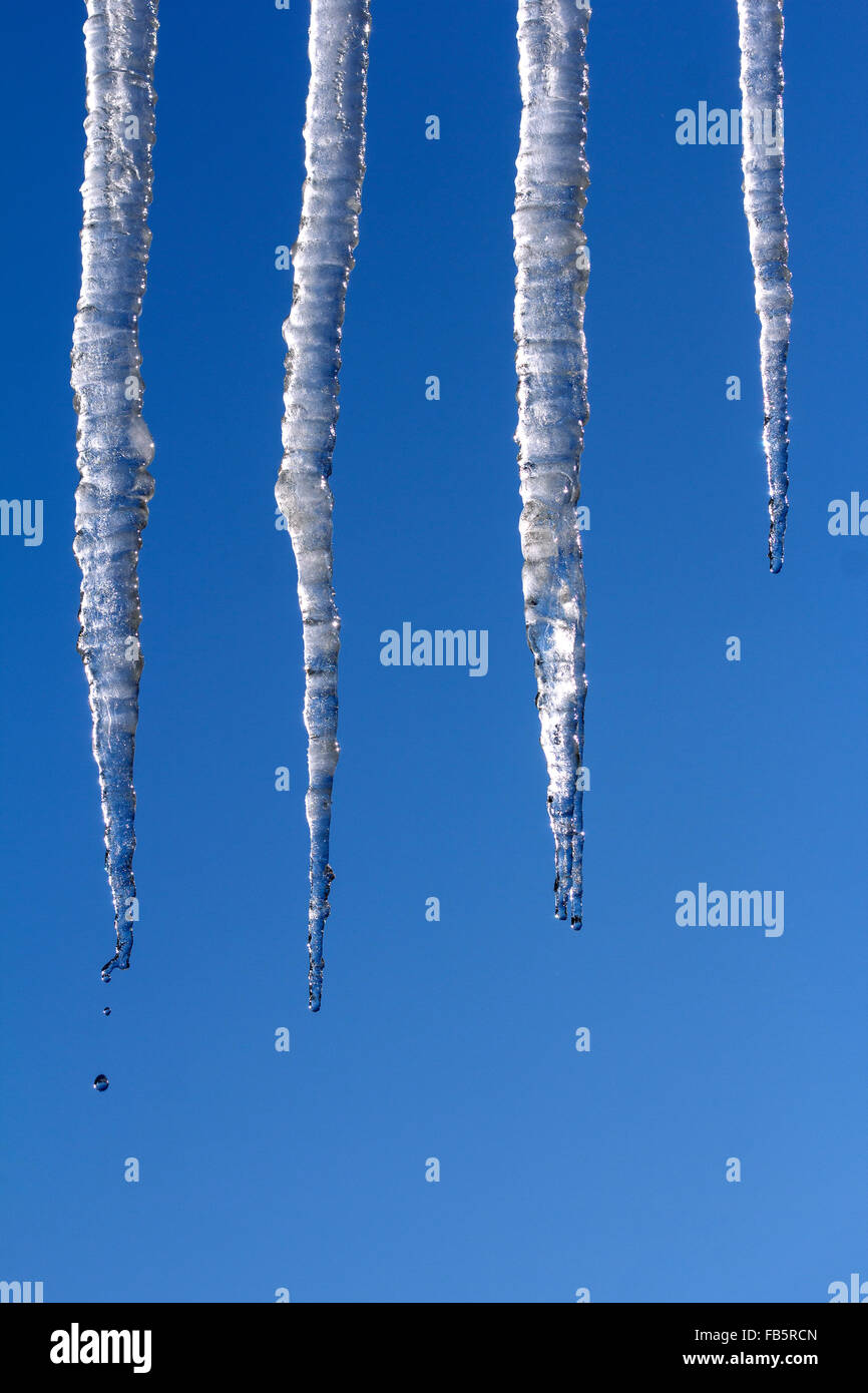 Eiszapfen schmelzen und Tropfen, blauen Himmel als Hintergrund Stockfoto