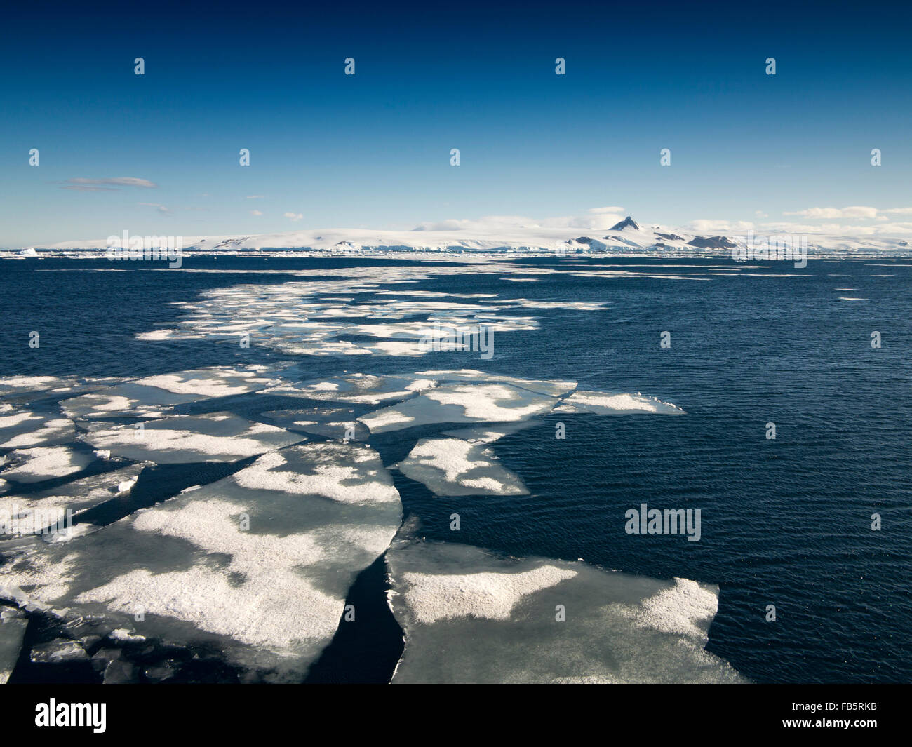 Antarktis Weddellmeer, schwebenden Packeis aus Continental Ice Shelf Stockfoto