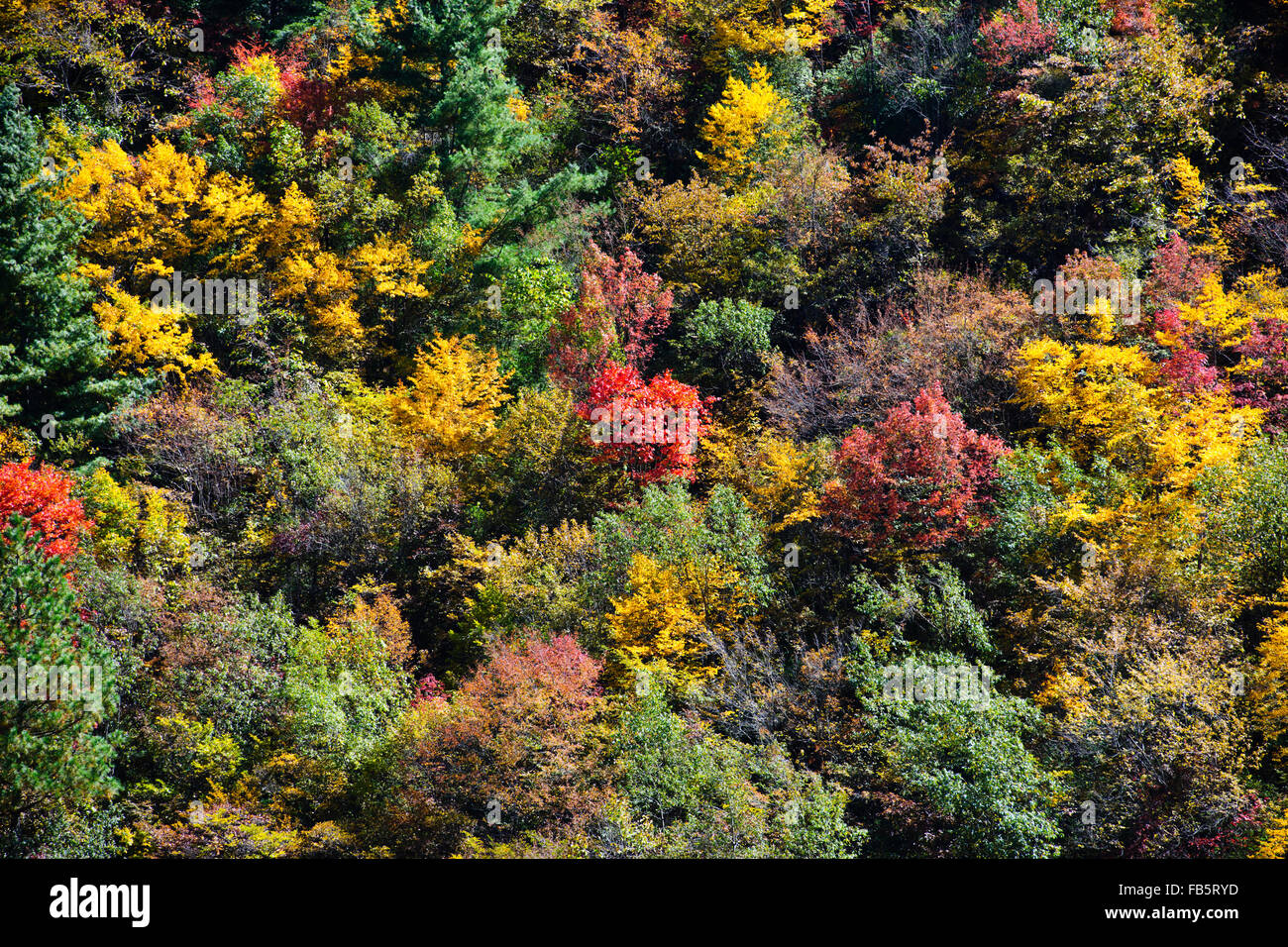 Ausläufer des Kawagebo Bergketten, Naxi & Lisu-Dörfer, Tacheng Tal, Yunnan Provinz, VR China, Volksrepublik China, China Stockfoto