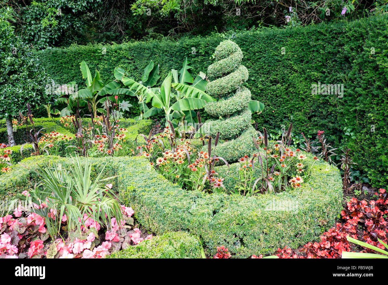 Hedging und Formschnitt im Queen Mary Gärten im Regents Park, London, UK Stockfoto