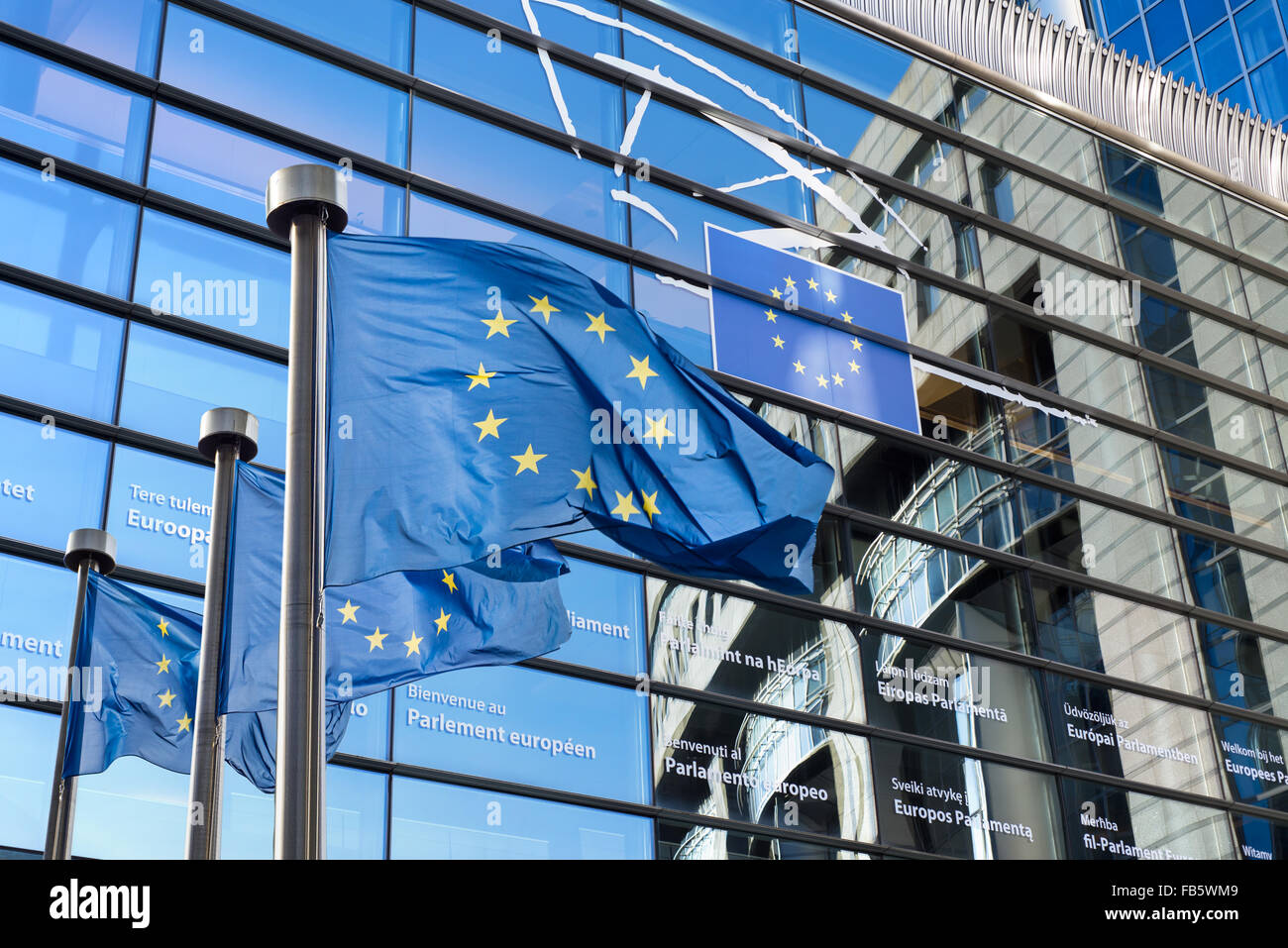Europäische Union Flaggen vor dem Europäischen Parlament in Brüssel, Belgien Stockfoto