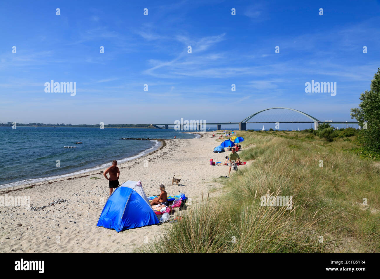 Fehmarnsund-Strand, Insel Fehmarn, Ostseeküste, Schleswig-Holstein, Deutschland Stockfoto