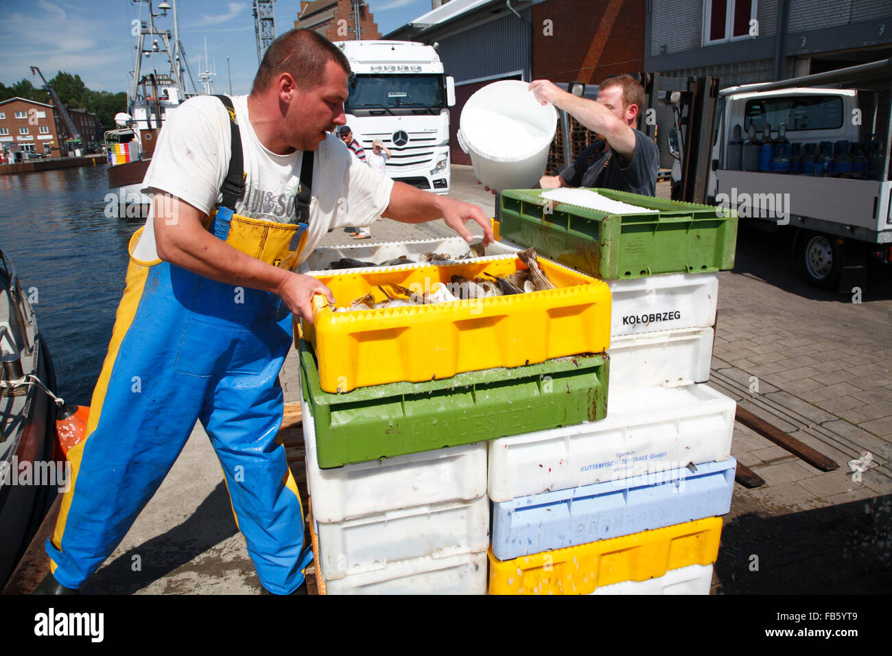Fischerei Hafen Burgstaaken, Insel Fehmarn, Ostseeküste, Schleswig ...