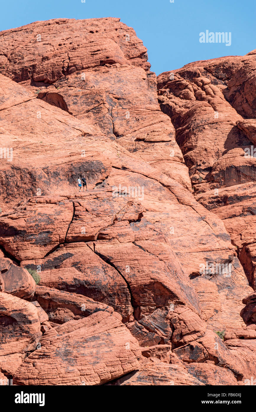 Wanderer zwischen den roten Felsen von Calico-1-Gebiet in der Calico Hills von Red Rock Canyon National Conservation Area Stockfoto