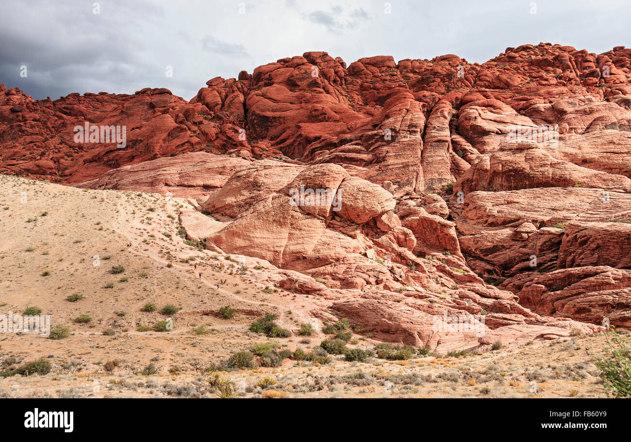 Wanderer zwischen den roten Felsen von Calico-1-Gebiet in der Calico Hills von Red Rock Canyon National Conservation Area Stockfoto