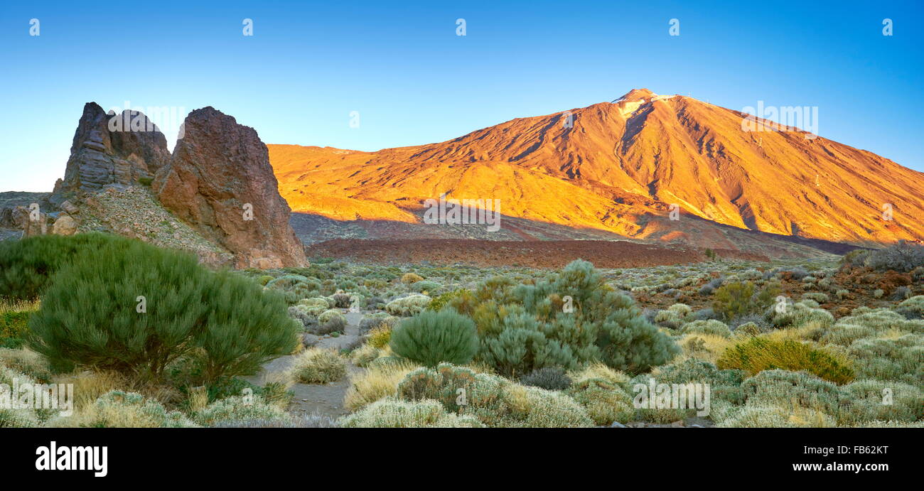 Nationalpark Teide, Teneriffa, Kanarische Inseln, Spanien Stockfoto