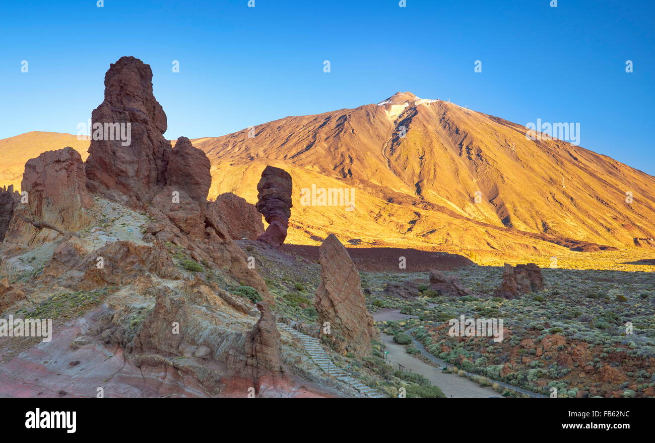 Nationalpark Teide, Kanarische Inseln, Teneriffa, Spanien, Stockfoto