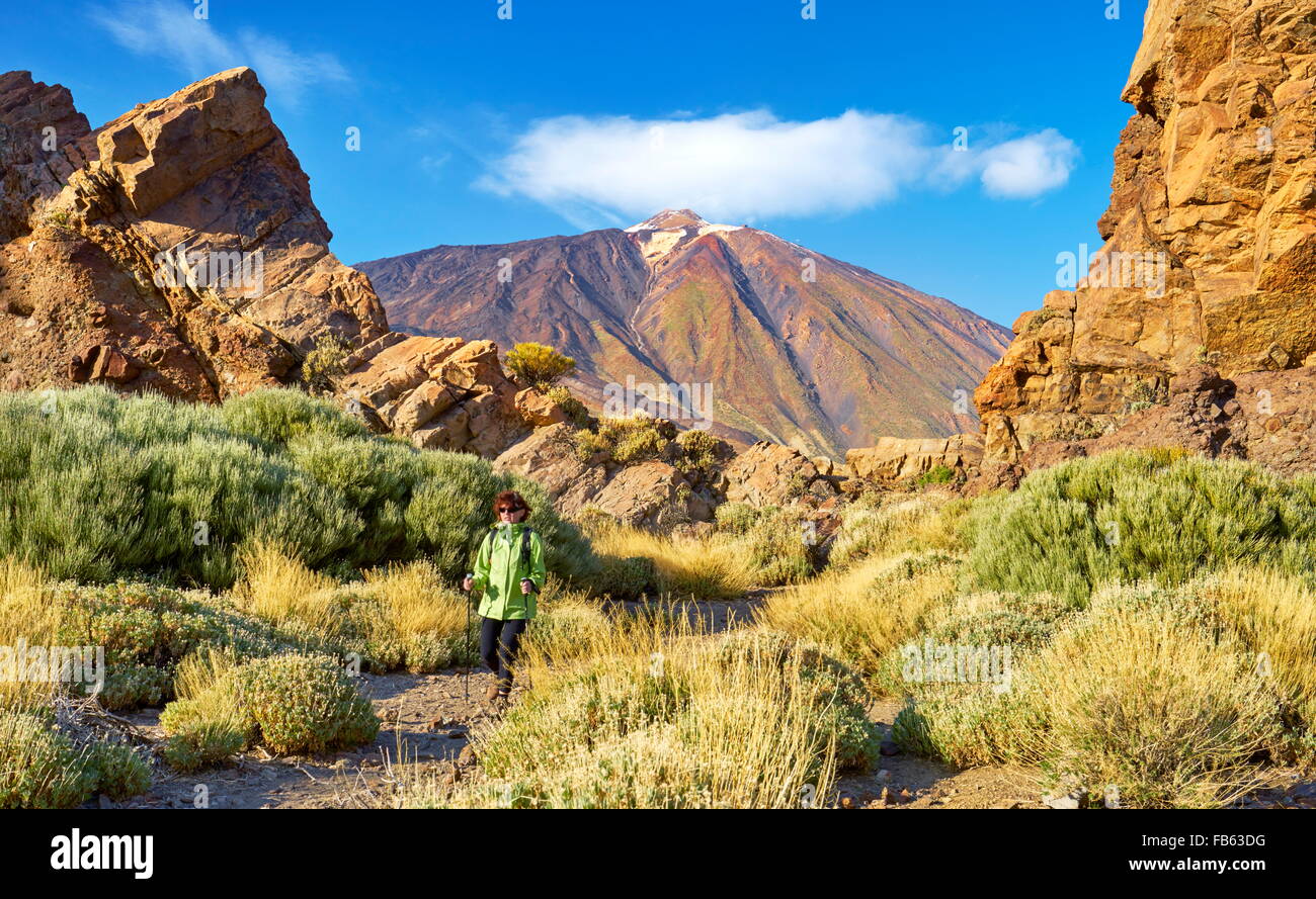 Tourist, Wandern im Nationalpark Teide, Teneriffa, Kanarische Inseln, Spanien Stockfoto