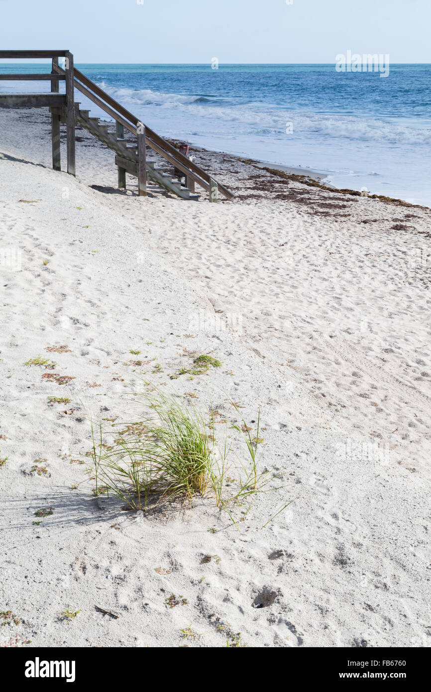 Vero Beach, FL, USA. Dem Rasen am Sandstrand mit Blick auf einem Holzsteg. Stockfoto