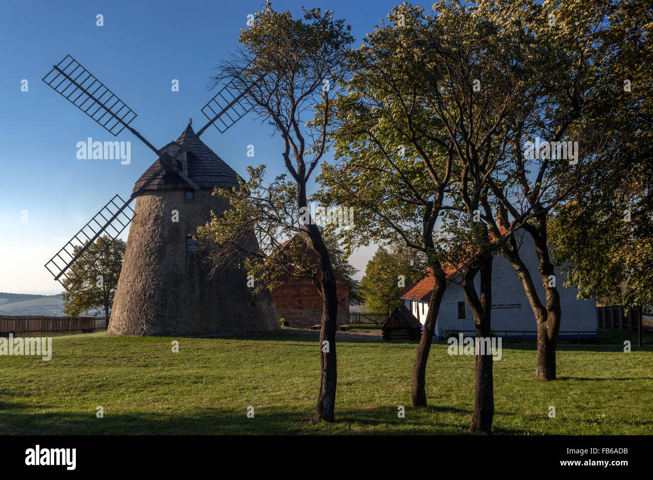 Alte Windmühle, Kuzelov, Pflaumenbäume, Südmähren, Tschechische Republik Stockfoto